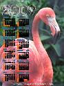 09calendar_style03_bird5_op