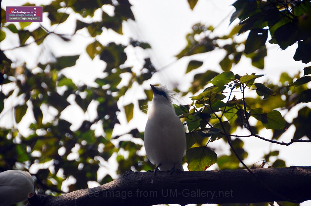 20150426jw-hk-park_DSC_0509r.jpg