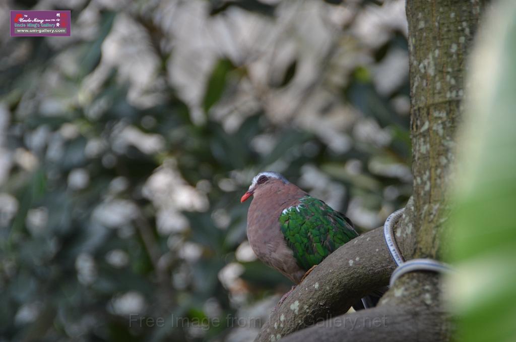 20150426jw-hk-park_DSC_0609.JPG