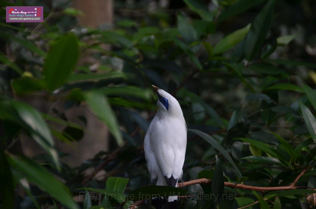 20150426jw-hk-park_DSC_0618.JPG