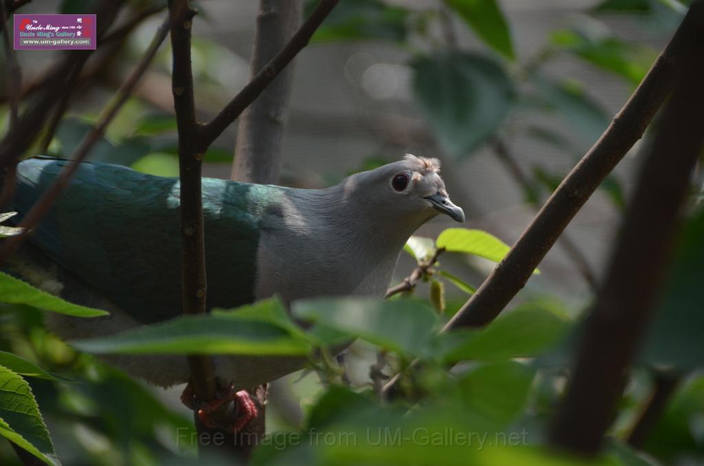 20150426jw-hk-park_DSC_0630.JPG