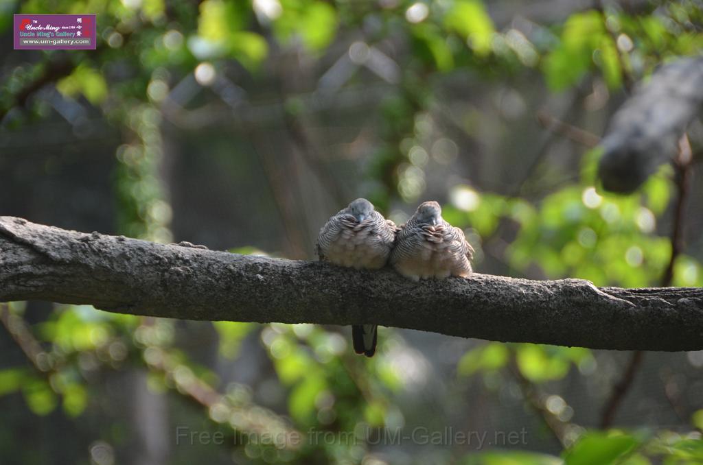 20150426jw-hk-park_DSC_0645.JPG