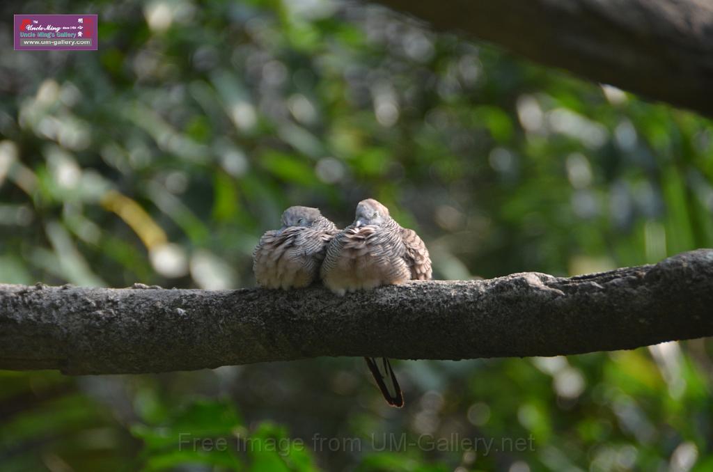 20150426jw-hk-park_DSC_0647.JPG