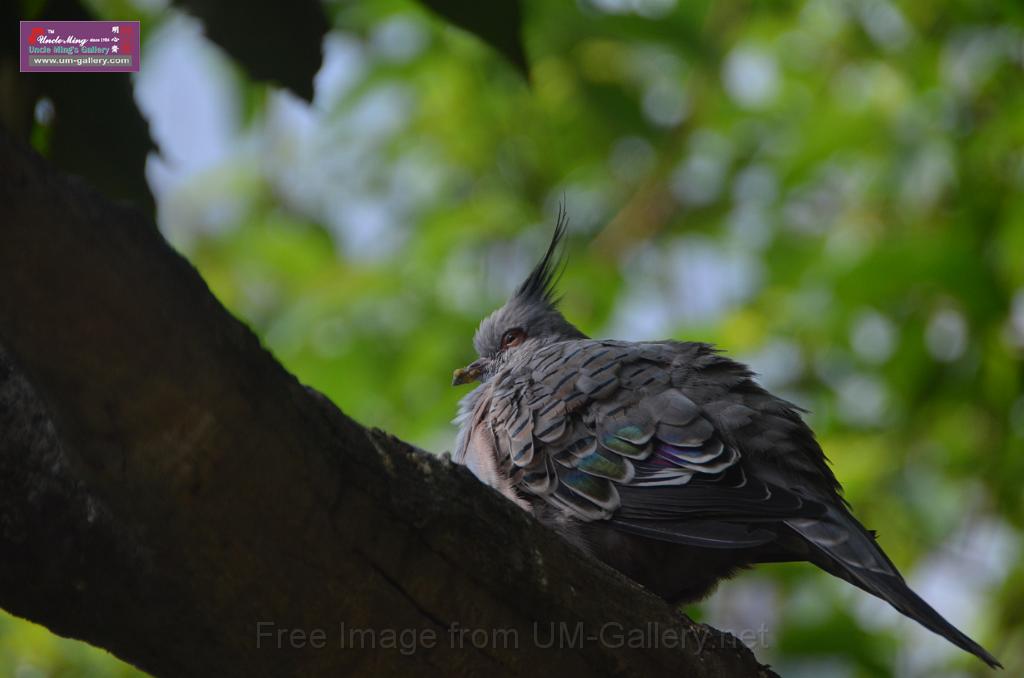 20150426jw-hk-park_DSC_0668.JPG