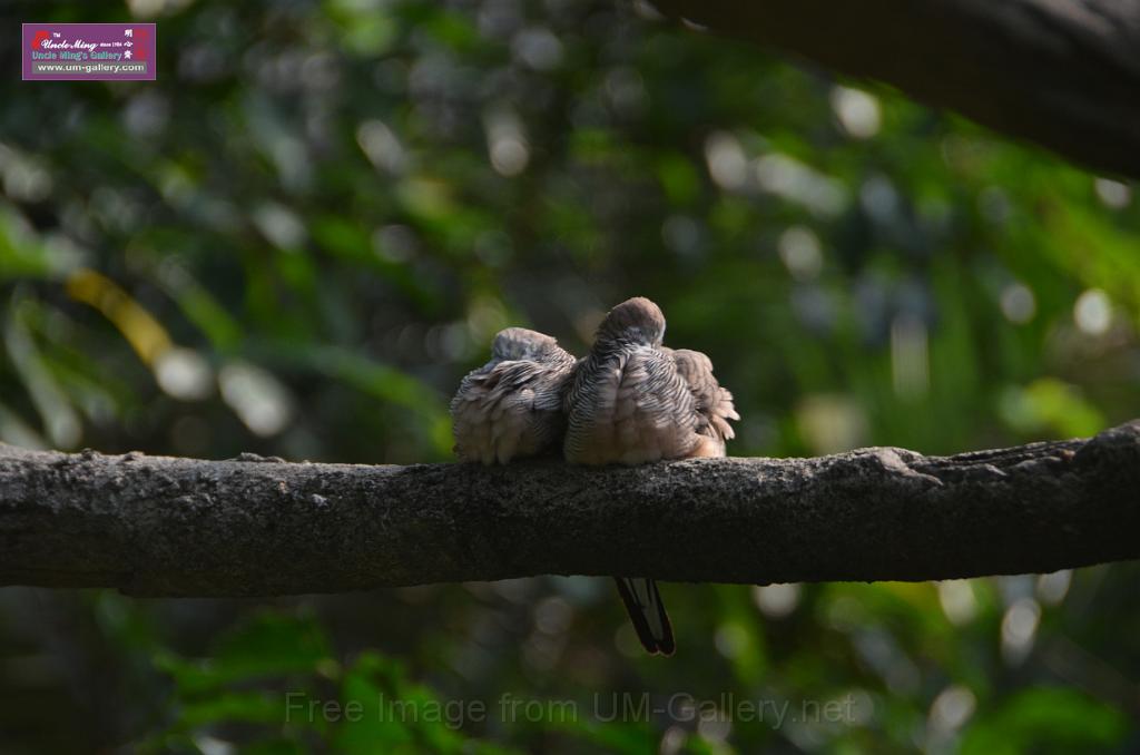 20150426jw-hk-park_DSC_0678.JPG