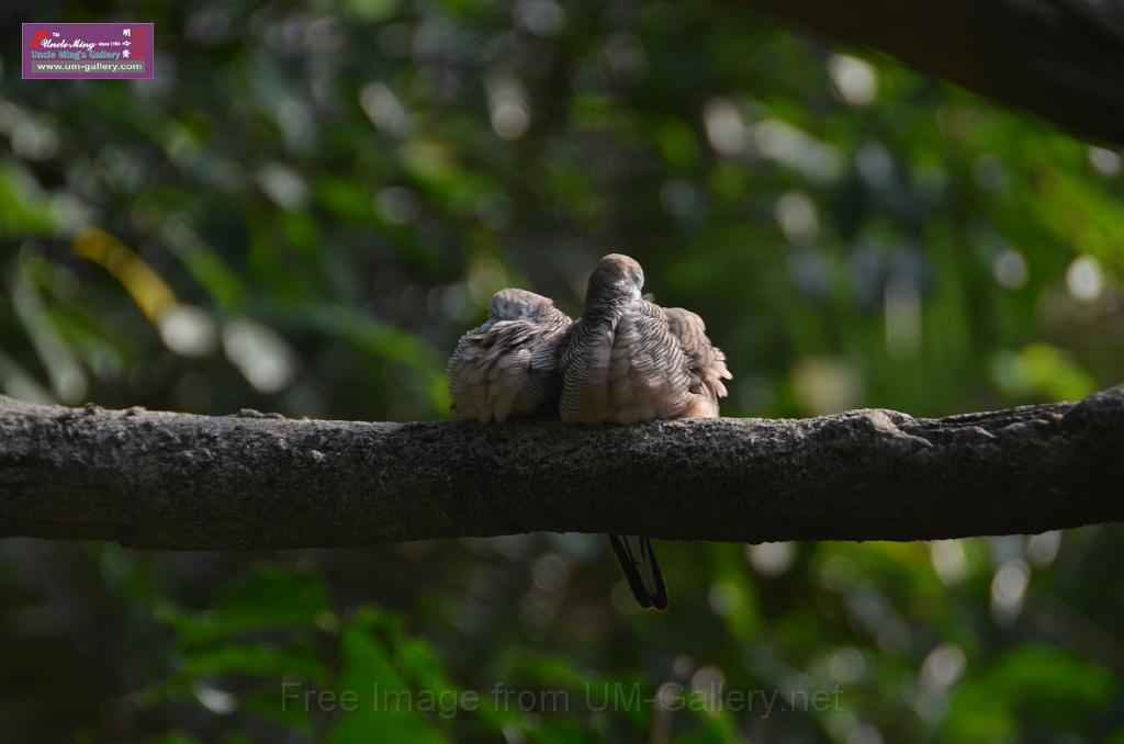 20150426jw-hk-park_DSC_0679.JPG