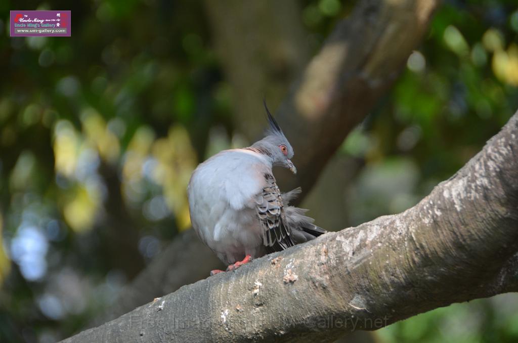 20150426jw-hk-park_DSC_0693.JPG