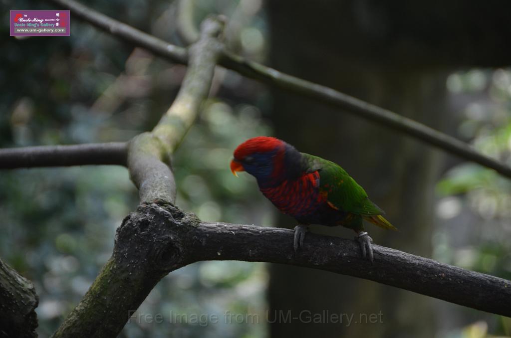 20150426jw-hk-park_DSC_0738.JPG