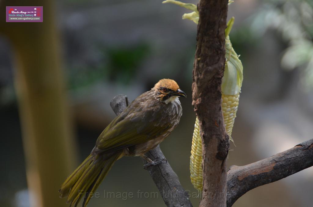 20150426jw-hk-park_DSC_0740.JPG