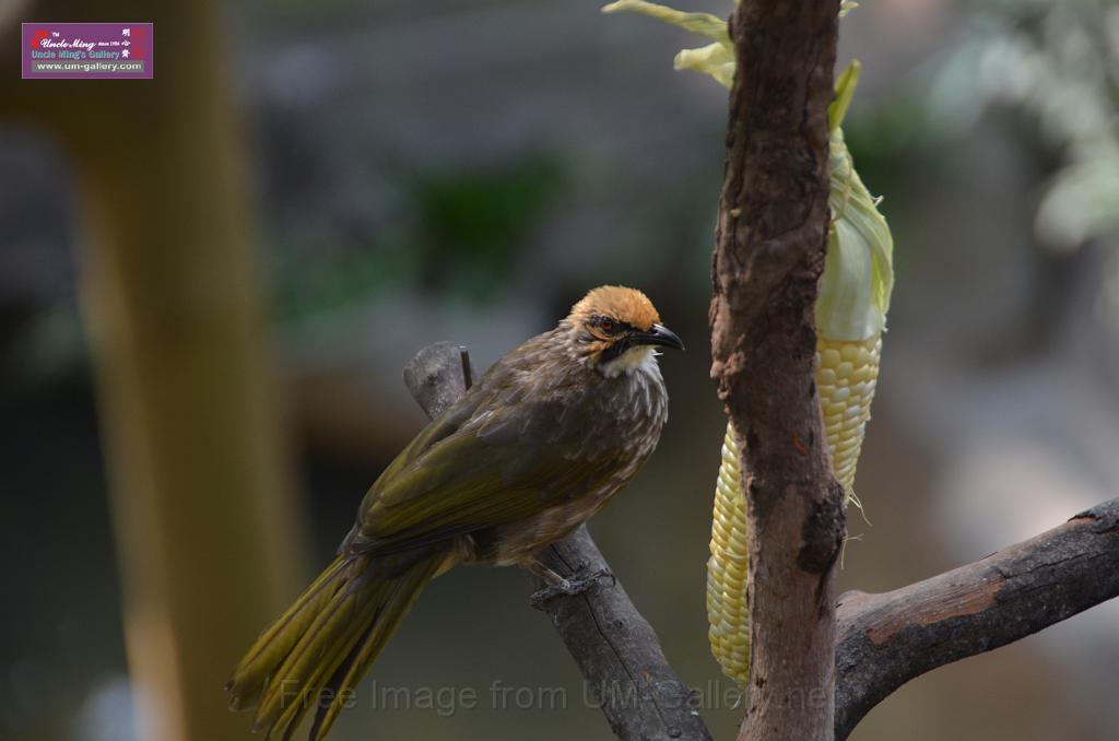 20150426jw-hk-park_DSC_0741.JPG