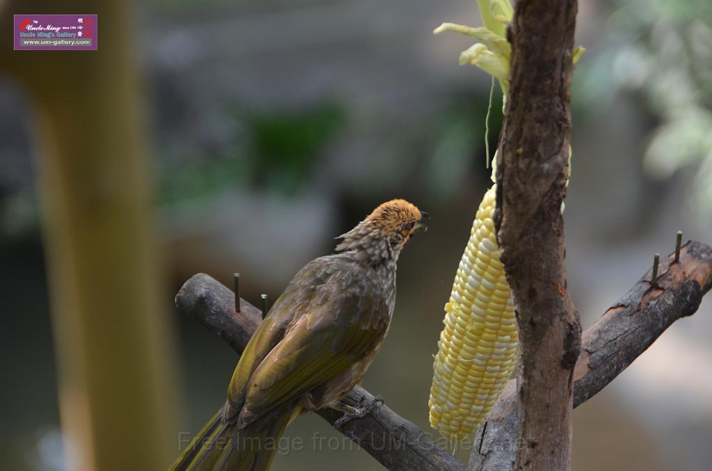 20150426jw-hk-park_DSC_0744.JPG