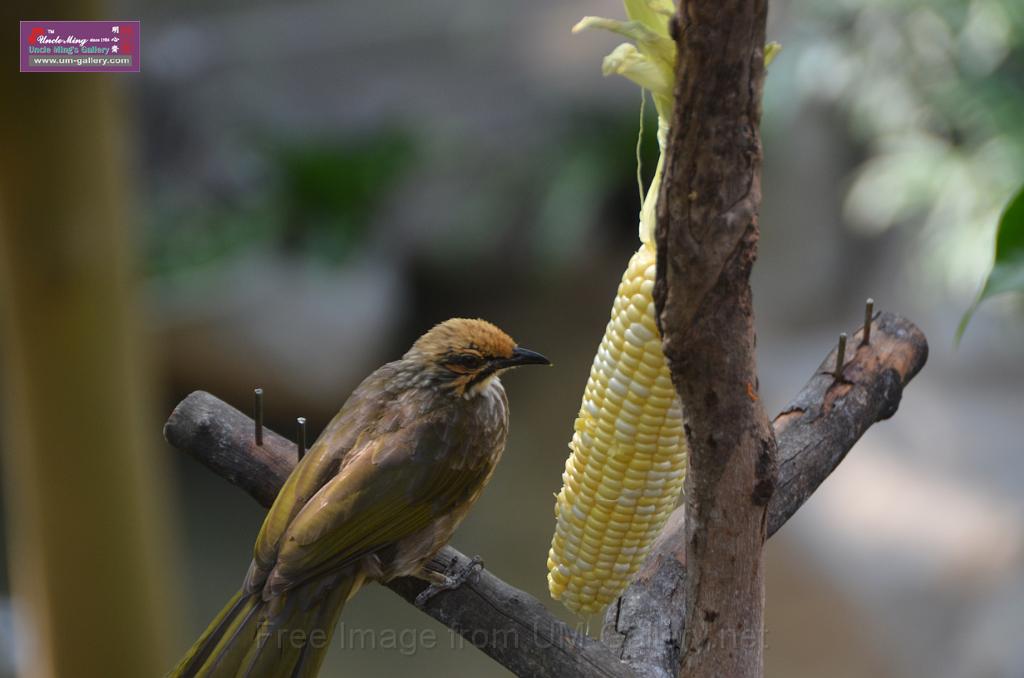 20150426jw-hk-park_DSC_0745.JPG