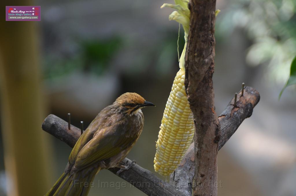 20150426jw-hk-park_DSC_0746.JPG