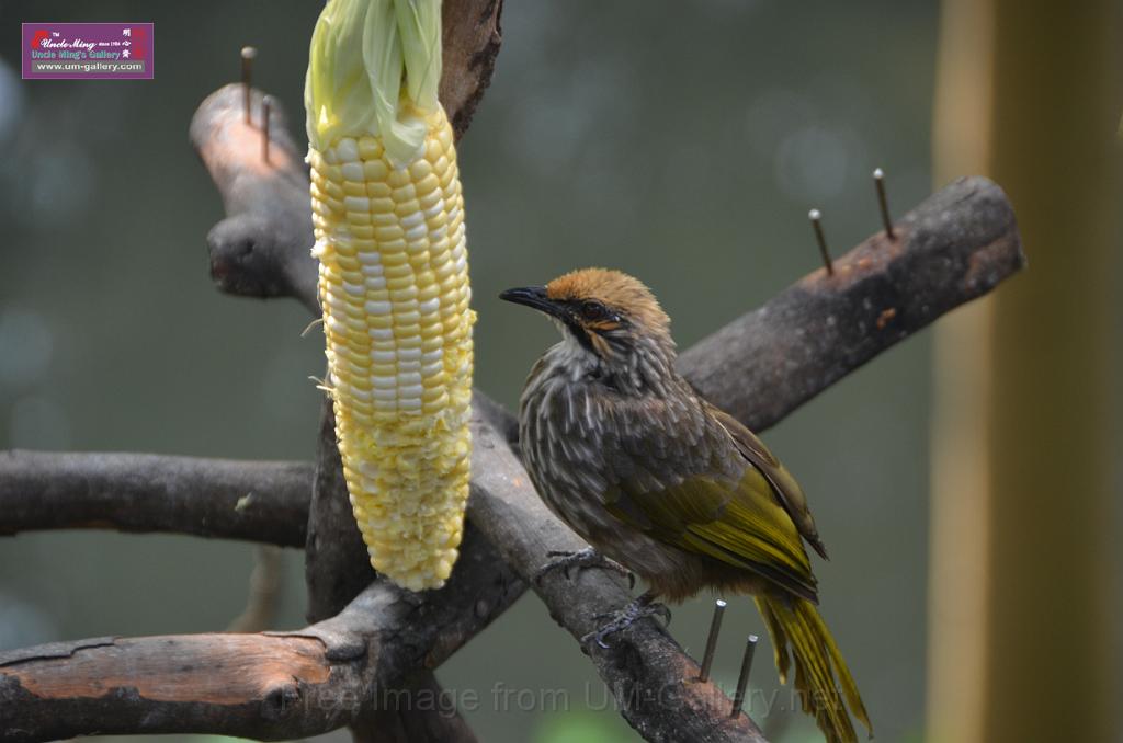 20150426jw-hk-park_DSC_0749.JPG