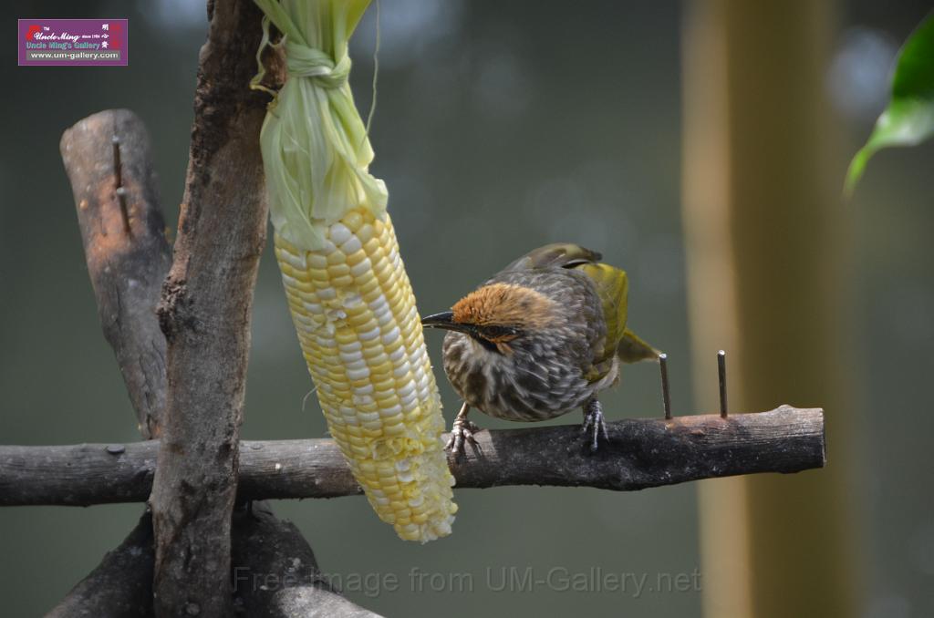 20150426jw-hk-park_DSC_0760.JPG