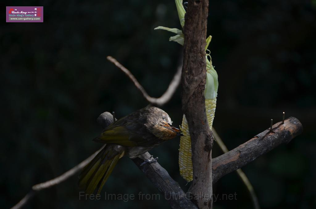 20150426jw-hk-park_DSC_0770.JPG