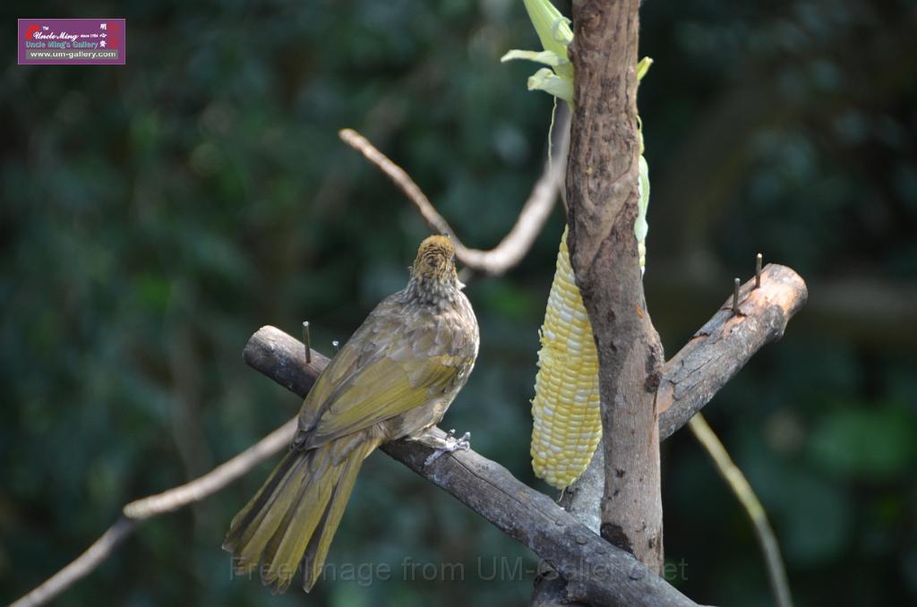 20150426jw-hk-park_DSC_0772.JPG