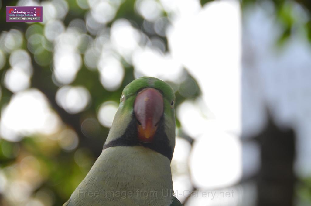 20150426jw-hk-park_DSC_0802.JPG