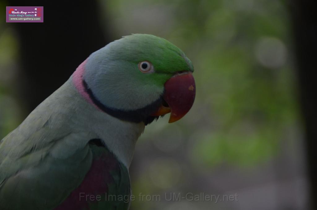 20150426jw-hk-park_DSC_0810.JPG