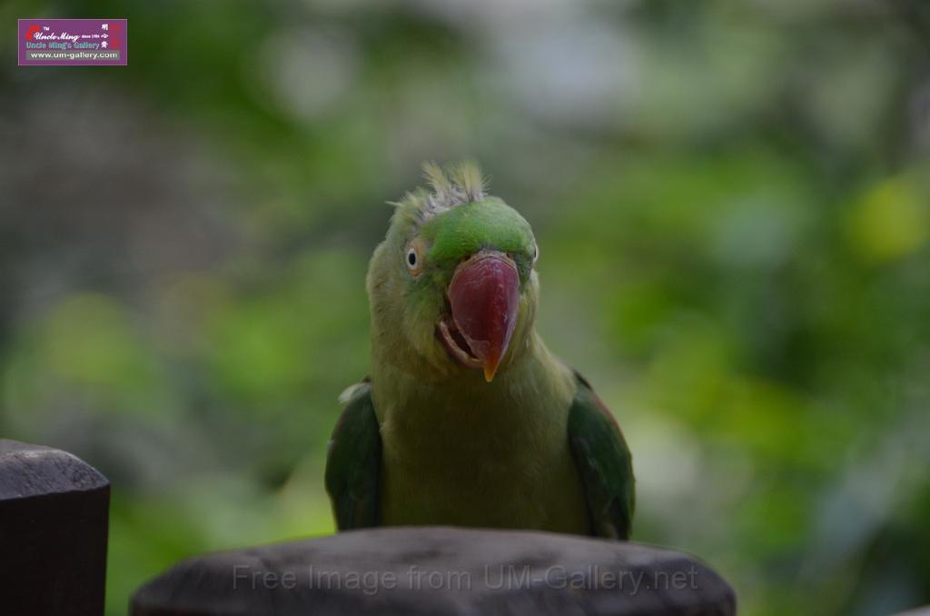 20150426jw-hk-park_DSC_0837.JPG