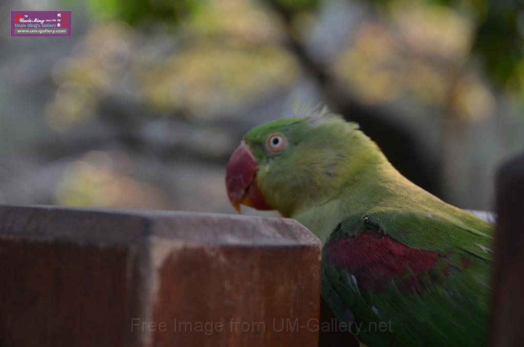 20150426jw-hk-park_DSC_0865.JPG