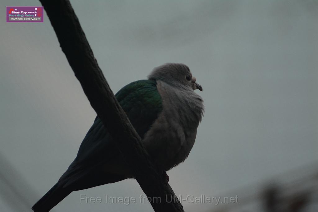 20180222hkpark_DSC_0865.JPG