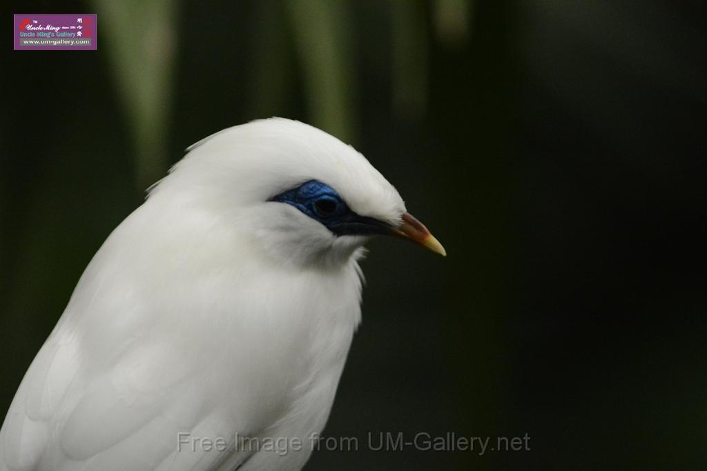 20180222hkpark_DSC_0874.JPG