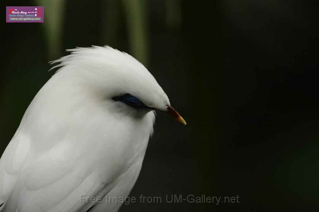 20180222hkpark_DSC_0875.JPG