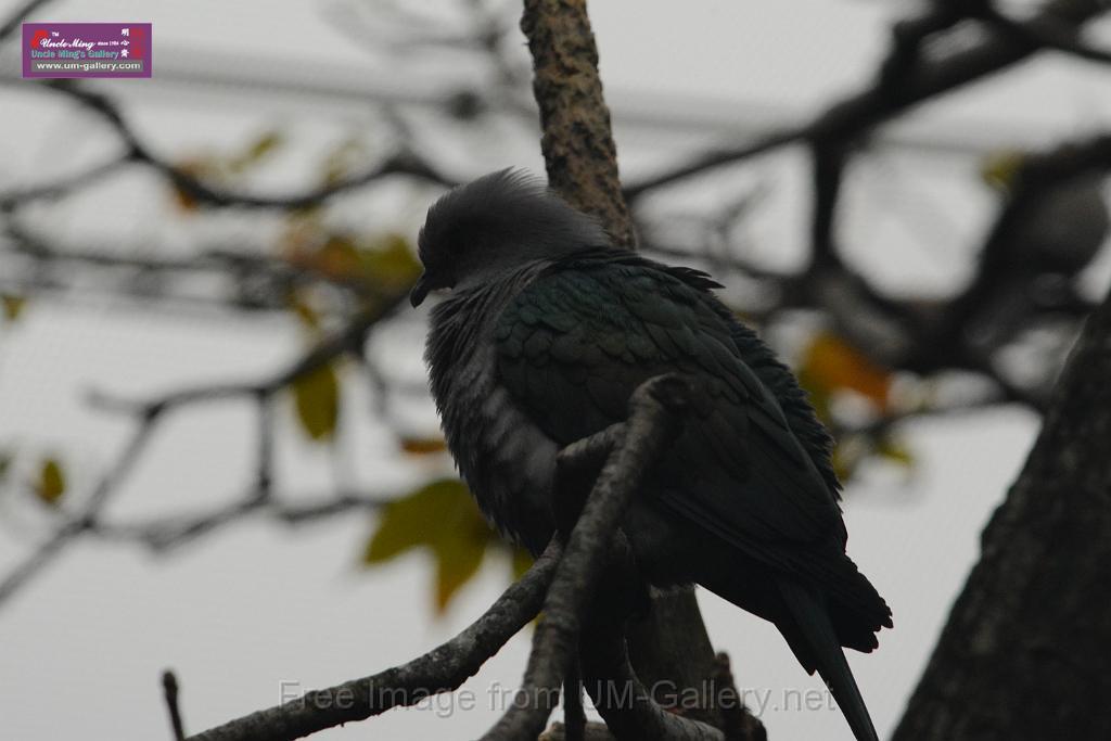 20180222hkpark_DSC_0904.JPG