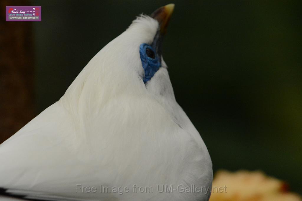 20180222hkpark_DSC_0909.JPG