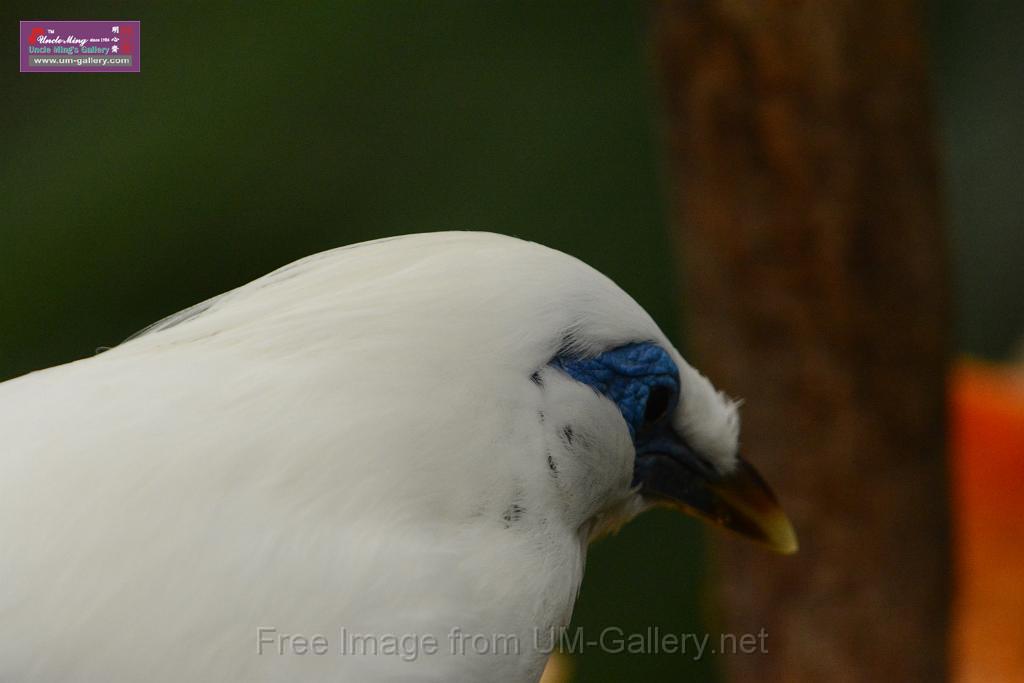 20180222hkpark_DSC_0911.JPG