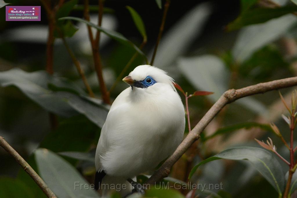 20180222hkpark_DSC_0916.JPG