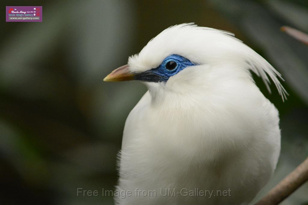 20180222hkpark_DSC_0918.JPG