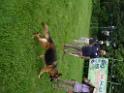 20130818jw_dog_training_P1140298