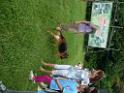 20130818jw_dog_training_P1140301