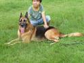 20130818jw_dog_training_P1140397