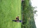 20130818jw_dog_training_P1140279