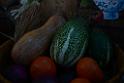20150328sm-floral-exhibition_DSC_1989