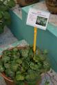 20150328sm-floral-exhibition_DSC_1757