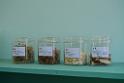 20150328sm-floral-exhibition_DSC_1759
