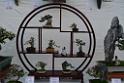 20150328sm-floral-exhibition_DSC_1845