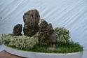 20150328sm-floral-exhibition_DSC_1855