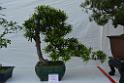20150328sm-floral-exhibition_DSC_1882