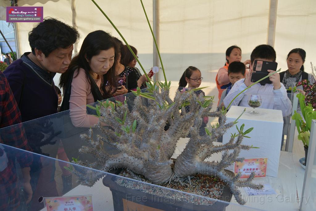 20150328sm-floral-exhibition_DSC_1949.JPG