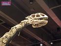 100627sci_museum_P1040677