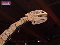 100627sci_museum_P1040678