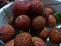 20130621fruit-laichee_P1130278