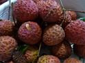 20130621fruit-laichee_P1130280