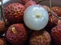 20130621fruit-laichee_P1130285