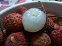 20130621fruit-laichee_P1130282